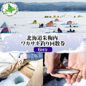 【ふるさと納税】北海道朱鞠内 ワカサギ釣り 回数券 利用券 チケット 朱鞠内湖 わかさぎ 魚釣り アイスフィッシング 北海道旅行 アウトドアキャンプ 自然散策 大自然 釣り初心者 湖畔 釣り旅行 釣りの聖地 体験 送料無料 北海道 幌加内町