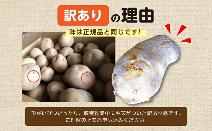楽天市場】【ふるさと納税】北海道産 訳あり じゃがいも メークイン M 