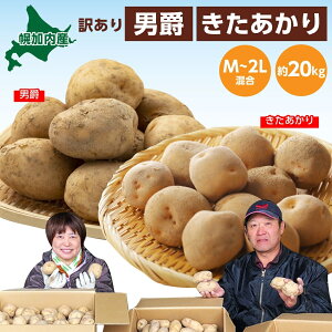 yӂ邳Ɣ[ŁzkCY 󂠂 Ⴊ j  M`2L e10kg v20kg WKC n鏒 |eg   C { ~ _앨 A KiO kC  Yn }t