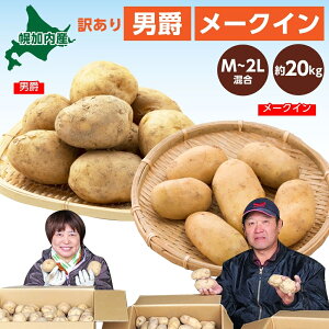 yӂ邳Ɣ[ŁzkCY 󂠂 Ⴊ j [NC M`2L e10kg v20kg WKC n鏒 |eg   C { ~ _앨 KiO kC  Yn }t@[ 