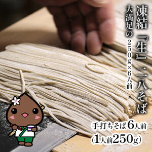 yӂ邳Ɣ[Łzwx񔪂 喞250g×6lO kCyyz ˗  ł ł
