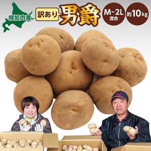 yӂ邳Ɣ[ŁzkCY 󂠂 Ⴊ j M`2L 10kg WKC n鏒 |eg L^AJ   C { ~ _앨 A KiO ƒp kC  Yn }t@