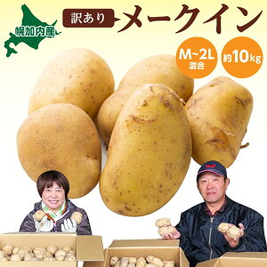 yӂ邳Ɣ[ŁzkCY 󂠂 Ⴊ [NC M`2L 10kg WKC n鏒 |eg L^AJ   C { ~ _앨 A KiO ƒp kC  Yn }