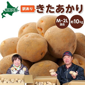 yӂ邳Ɣ[ŁzkCY 󂠂 Ⴊ  M`2L 10kg WKC n鏒 |eg L^AJ   C { ~ _앨 A KiO ƒp kC  Yn }