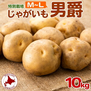yӂ邳Ɣ[Łz2025NHȍ~oׁ kC Ⴊ j M`L 10kg ʍ͔| WKC n鏒 񂵂Ⴍ   C |eg   _앨 Y Â ~  Yn