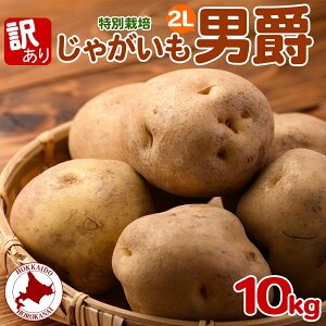 yӂ邳Ɣ[Łz2025NHȍ~oׁkC 󂠂 ʍ͔| Ⴊ j 2L 10kg WKC n鏒    { ~ kCY Y  |eg Â zNzN _앨 A K