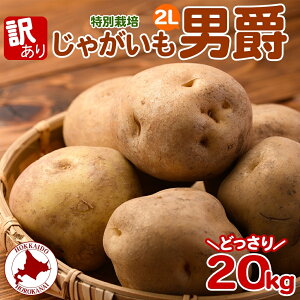 yӂ邳Ɣ[Łz2025NHȍ~oׁkC 󂠂 ʍ͔| Ⴊ j 2L 20kg WKC n鏒    { ~ kCY Y  |eg Â zNzN _앨 A K