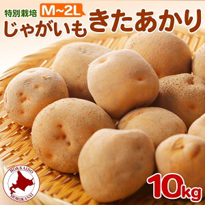 yӂ邳Ɣ[Łz2025NHȍ~oׁkC ʍ͔| Ⴊ  M`2L  10kg WKC n鏒   C |eg   { kCY Y  ~ _앨 10L 