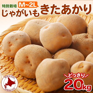 yӂ邳Ɣ[Łz2025NHȍ~oׁkC ʍ͔| Ⴊ  M`2L  20kg WKC n鏒   C |eg   { kCY Y  ~ _앨 20L 