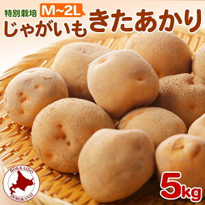 yӂ邳Ɣ[Łz2025NHȍ~oׁ kC Ⴊ  M`2L 5kg ʍ͔| WKC n鏒 L^AJ   C |eg k  _앨  Yn k