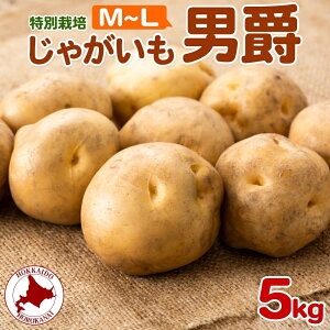 yӂ邳Ɣ[Łz2025NHȍ~oׁ kC Ⴊ j M`L 5kg ʍ͔| WKC n鏒 񂵂Ⴍ   C |eg   _앨 Y Â ~  Yn