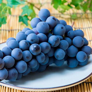 yӂ邳Ɣ[Łz7-010-015@ԂǂiX`[xj2kgi10`jy}[ʎz@ʕEԂǂEt[cEʕEԂǂEt[cEʕށEt[c@͂F10ȍ~