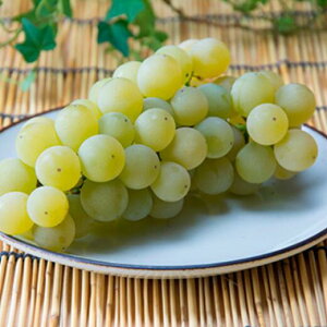 yӂ邳Ɣ[Łz7-010-016@ԂǂiiCAKj2kgi10`jy}[ʎz@ʕEԂǂEt[cEʕށEt[c@͂F10ȍ~