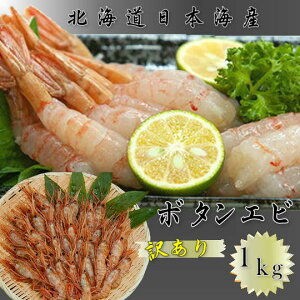 yӂ邳Ɣ[Łz7-014-002@󂠂{^Gr 1kgi21`45j@CVEڂGrECVEGrEށ@͂FmFA2Tԁ`1O