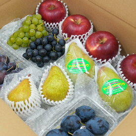 【ふるさと納税】6-012-055　山口さんちの旬なフルーツ詰合わせ【10月～発送】　【果物類・フルーツ・詰合せ・果物・詰合せ・セット・フルーツ・果物類・フルーツ】　お届け：10月～