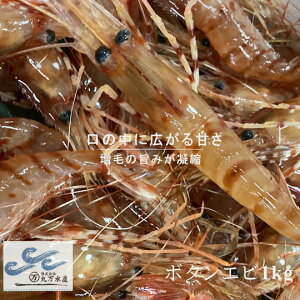 yӂ邳Ɣ[Łz7-028-003@Ⓚ{^Gr 1kgi34`46j@CVEڂGrECVEGrEށ@͂FmFA1Tԁ`1ȓ