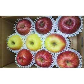 【ふるさと納税】7-010-020　秋香園 大玉りんご 3kg【10月～2月発送】　果物類・林檎・りんご・リンゴ　お届け：10月～