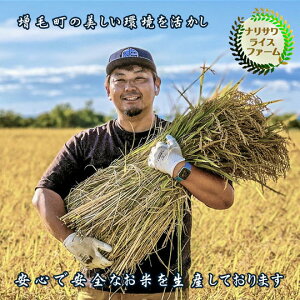 yӂ邳Ɣ[Łz7-014-023@VāEђYĂȂȂڂ 5kgi10`jyVCXt@[z@āEāEā@͂F10`3ie{ɔ˗A{ȍ~j