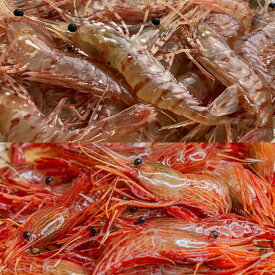 【ふるさと納税】7-018-006　ボタンエビ・しまえびセット 各500g　蟹・カニ・海老・ぼたんエビ・海老・エビ　お届け：入金確認後、1週間～1ヶ月以内