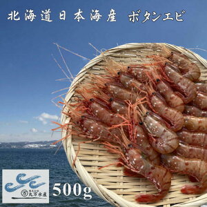 yӂ邳Ɣ[Łz7-015-002@Ⓚ{^Gr 500gi20j@CVEڂGr@͂FmFA1Tԁ`1ȓ