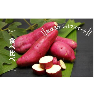 yӂ邳Ɣ[Łz7-005-009@܂Hהׁig͂邩EVNXC[gj2kgy}[ʎz@͂F10{`3