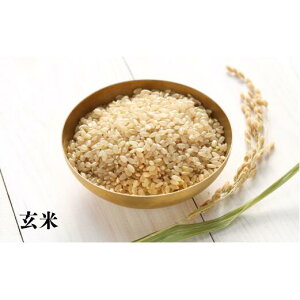 yӂ邳Ɣ[Łz7-075-007 ጺāEVđђYȂȂڂ 5kg×6i10`3jy֔_z@͂F10`3ie{ɔ˗A{ȍ~j