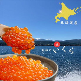 【ふるさと納税】7-012-054　【北海道産】塩いくら 100g入　お届け：入金確認後、1週間～1ヶ月以内