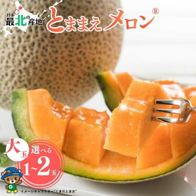 【ふるさと納税】【2026年7月中旬から発送】とままえメロン 1.6kg前後 大玉サイズ 1玉 2玉 容量が選べる 北海道産 先行 予約 受付 赤肉 甘い 糖度14度 旬 産地直送 めろん フルーツ 果物 デザート 北海道 苫前町 とままえ