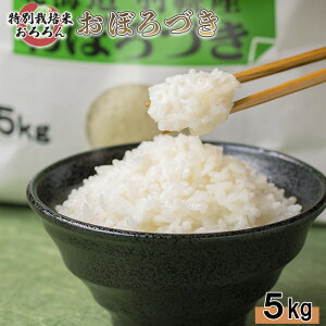 yӂ邳Ɣ[Łzy2025NYz kCHyY ʍ͔| ڂÂ5kg b 5L   S S S kC Xgbv IC\ ӂ邳Ɣ[ kC Hy Hy