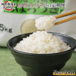 yӂ邳Ɣ[Łzy2025NYz yցF3z kCHyY ʍ͔| ڂÂ5kg b 5L v15kg v15L   3 S S kC Xgbv IC\ ӂ邳Ɣ[ k