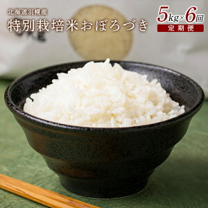 yӂ邳Ɣ[Łzy2025NYz yցF6z kCHyY ʍ͔| ڂÂ5kg b 5L v30kg v30L   6  S S S kC ӂ邳Ɣ[ kC 