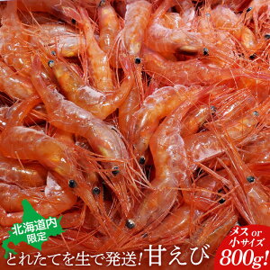 yӂ邳Ɣ[ŁzykCzƂꂽĂ𐶂Ŕ! Â800giXorTCYj | Â 800g  Gr CV TCY X  ① n  hg  kC Hy Hy 