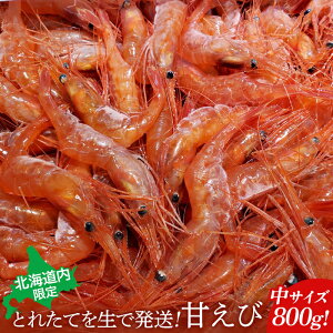 yӂ邳Ɣ[ŁzykCzƂꂽĂ𐶂Ŕ! Â800giTCYȏj | Â 800g  Gr CV TCY  ① n  hg  kC Hy Hy ӂ邳