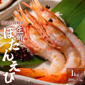 yӂ邳Ɣ[Łzڂ񂦂 1kg  Gr CV {^Gr ڂCV 200g 5pbN 1L VN CN  lC GrJj bk Lbh Ⓚ CY  hg  kC Hy
