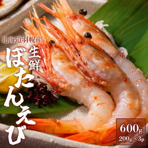 yӂ邳Ɣ[Łzڂ񂦂 600g  Gr CV {^Gr ڂCV 200g 3pbN VN CN  lC GrJj bk Lbh Ⓚ CY  hg  kC Hy H