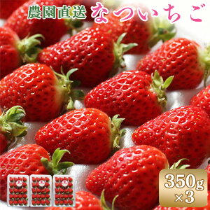 yӂ邳Ɣ[Łzys\FʌzkCHyY Ȃ1kgi350g×3ji2026N7蔭j   C`S Zbg y`J t[c 3pbN \ kC VN _  ӂ邳
