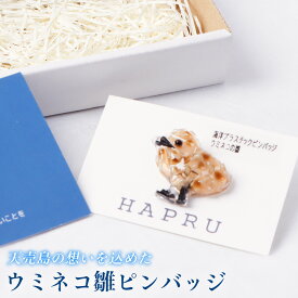 【ふるさと納税】天売島の想いを込めた「ウミネコ雛ピンバッジ」 | 天売島 ウミネコ 雛 ピンバッジ バッジ ピンズ アクセサリー ブローチ シーグラス 海洋プラスチック プラスチックごみ リサイクル エコ 自然 保護 雑貨 小物 お取り寄せ 北海道 羽幌町 羽幌【26008】