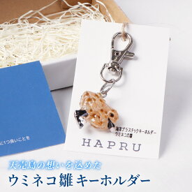 【ふるさと納税】天売島の想いを込めた「ウミネコ雛のキーホルダー」 | キーホルダー シーグラス ウミネコ 雛 鳥 アニマル 天売島 プラスチック 海洋プラスチック リサイクル エコ アクセサリー チャーム 雑貨 小物 ファッション お取り寄せ 北海道 羽幌町 羽幌【26009】