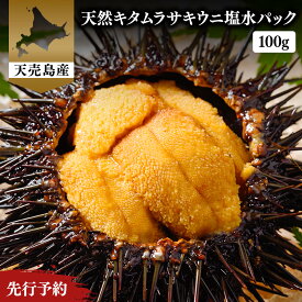 【ふるさと納税】【北海道 天売島産】 ★2026年先行予約★ 天然 キタムラサキうに 塩水パック 100g×1パック | ウニ うに ムラサキウニ 紫うに 天然うに 北海道うに 高級うに 海鮮 海産物 魚介類 魚介 グルメ おつまみ 贅沢 お取り寄せ 北海道 羽幌町 羽幌【31001】