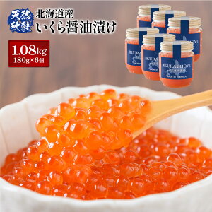 yӂ邳Ɣ[Łzy10cƓȓIzyVRH z kCYݖЂ360g`1.08kg(1180g) ʌ Y VR   H 瘥  CN   CN lC { VN 