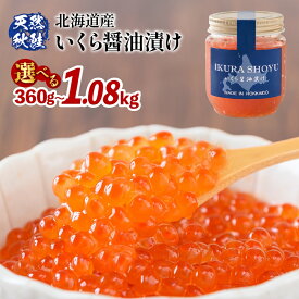 【ふるさと納税】高評価 ★4.7【選べる内容量！】【10営業日以内発送！】北海道産 天然秋鮭 いくら醤油漬け360g～1.08kg(1個180g)| 国産 天然 さけ いくら 秋鮭 いくら丼 海鮮 卵 セット ふるさと納税 北海道 羽幌