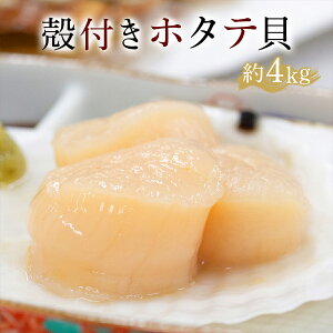 yӂ邳Ɣ[ŁzR8N5{菇@ʎYktz^eLi3`4kgjyO\z z^e ق  L   CN C̍K kC ʒ