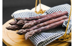 yӂ邳Ɣ[ŁzʎY@AXpi800gjL`2LTCYys\F2026N5{`oׁz