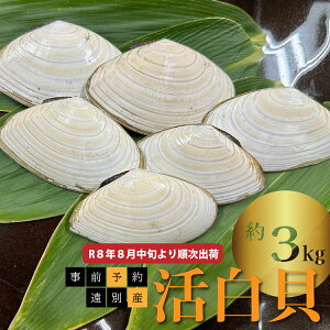 yӂ邳Ɣ[ŁzR8N8{菇oׁ@ʎY@Li3kgjyO\z