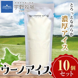 【ふるさと納税】ウーノアイス　10個セット ふるさと納税 北海道