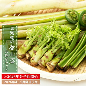 yӂ邳Ɣ[Łz2026N\񁞎R y݃Zbg kC V kCY tR CZbg ̂Ք_ 2026N\Jn ӂ邳Ɣ[ kC