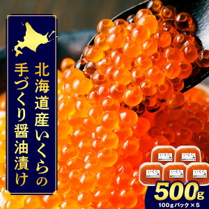 yӂ邳Ɣ[ŁzCN    kCY Y ̏ݖЂ 500g V̚uh ӂ邳Ɣ[ kC ăMtg 