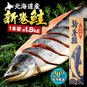 �y�ӂ邳�Ɣ[�Łz�k�C���Y �V����(��1.8kg�O��) �ӂ邳�Ɣ[�� �k�C��