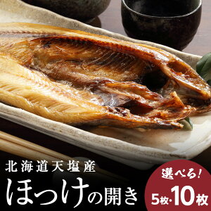 yӂ邳Ɣ[ŁzkCY ق zbP̊J 蔲Q V zbP Iׂ5`10Zbg ӂ邳Ɣ[ kC