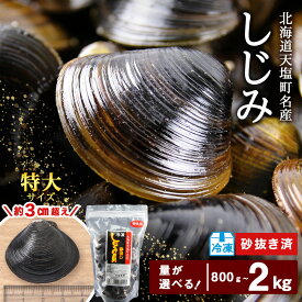 【ふるさと納税】 しじみ 冷凍 天塩町名産冷凍しじみ［特大サイズ］ 選べる800g〜2kg 小分け 選べる発送月 ＜北るもい漁業協同組合 天塩支所＞ ふるさと納税 北海道 夏ギフト
